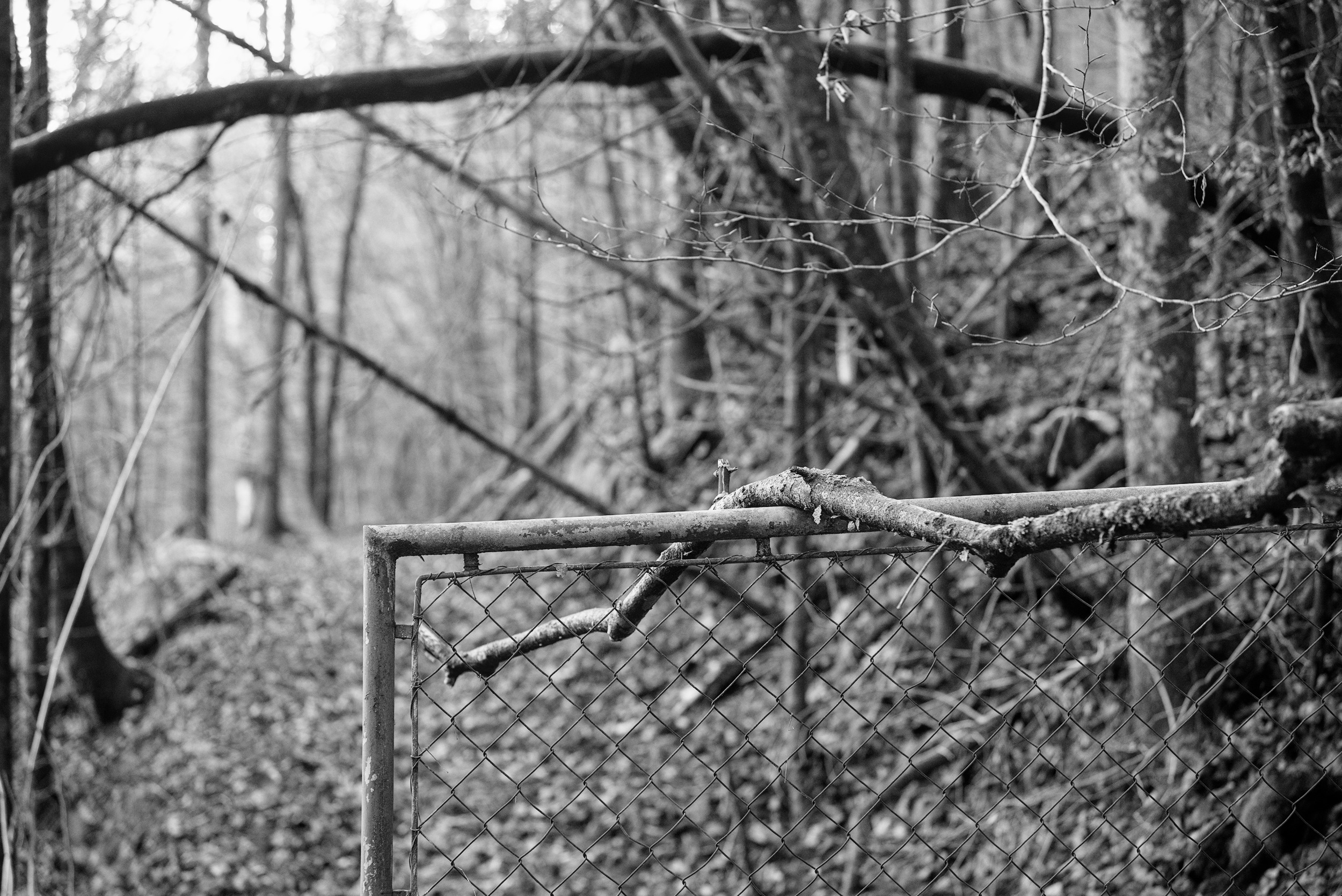 Abandoned Gate