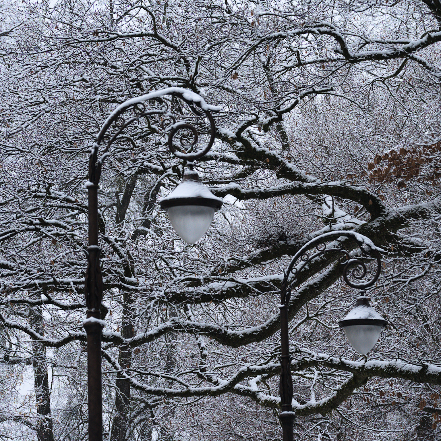 Unbenannter Beitrag 44870