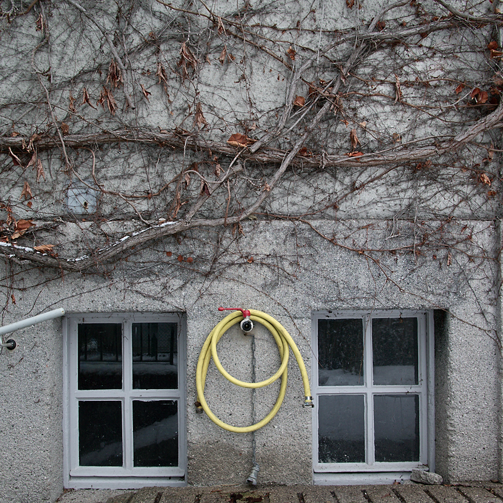 Windows And Hosepipe