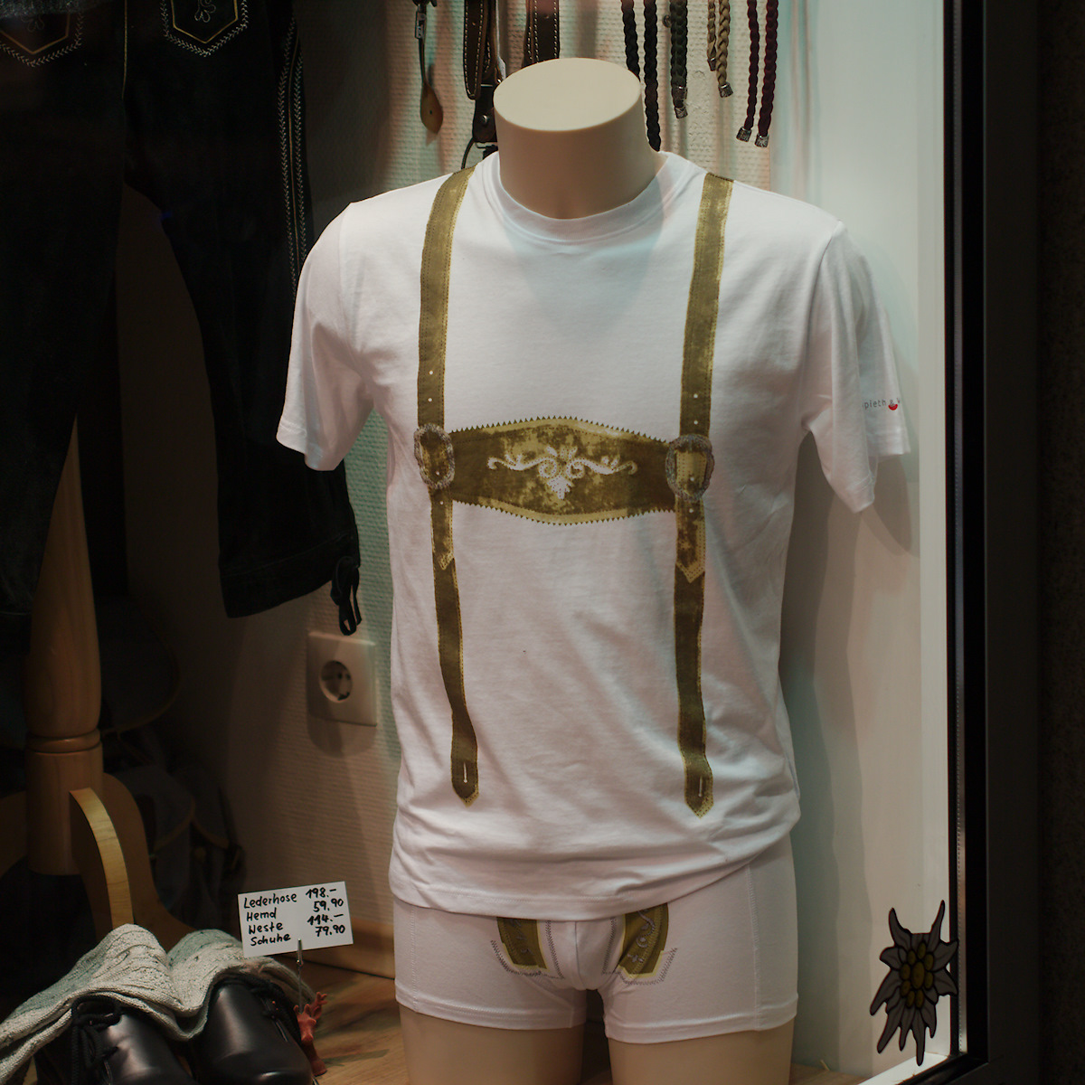 Demidiotic Underwear