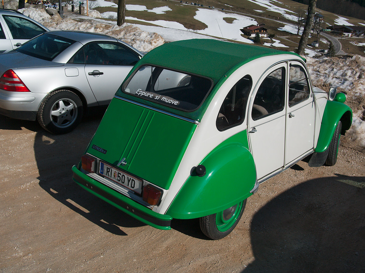 Not Galileo’s Duck