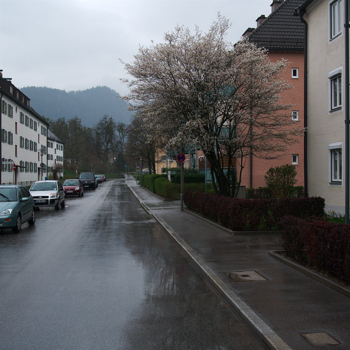 Residential Street