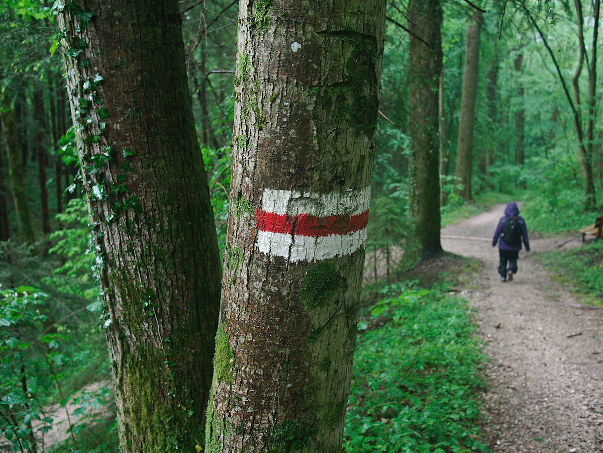 Downhill In The Rain