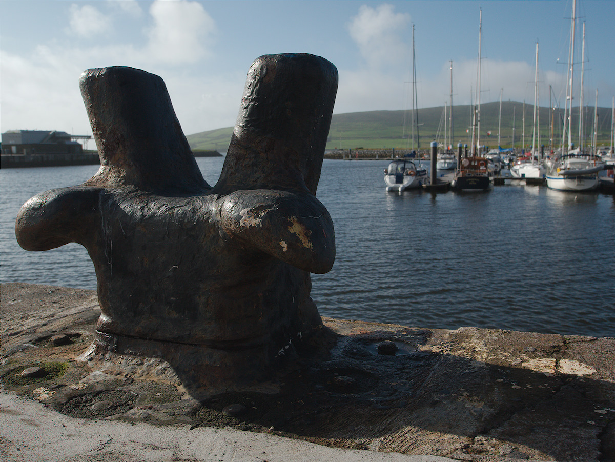 Early Moore In Dingle