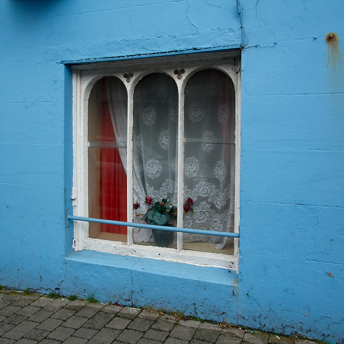 Bouquet And Blue Wall