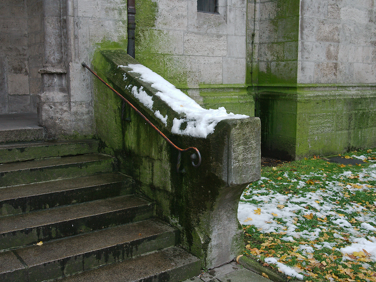 Algae And First Snow