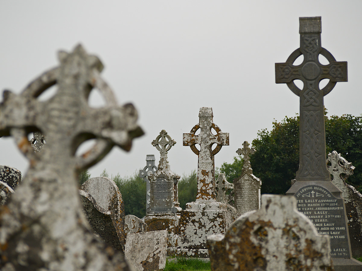 A Sea of Celtic Crosses 2