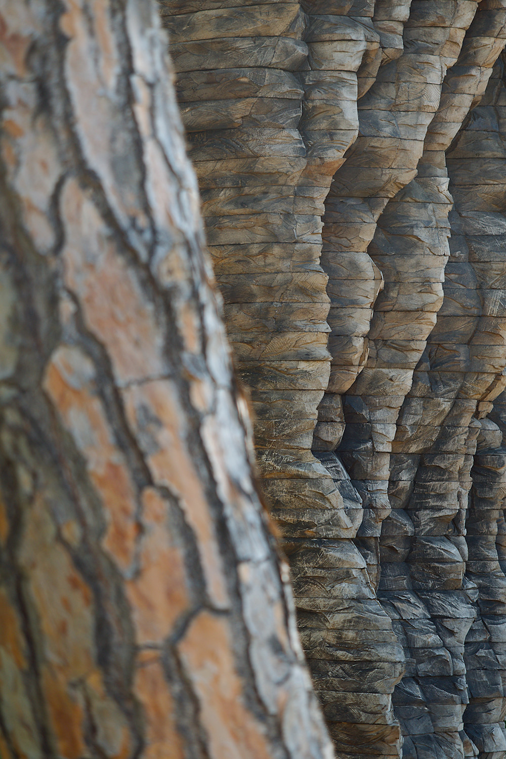 Cortex à la Rydingsvard