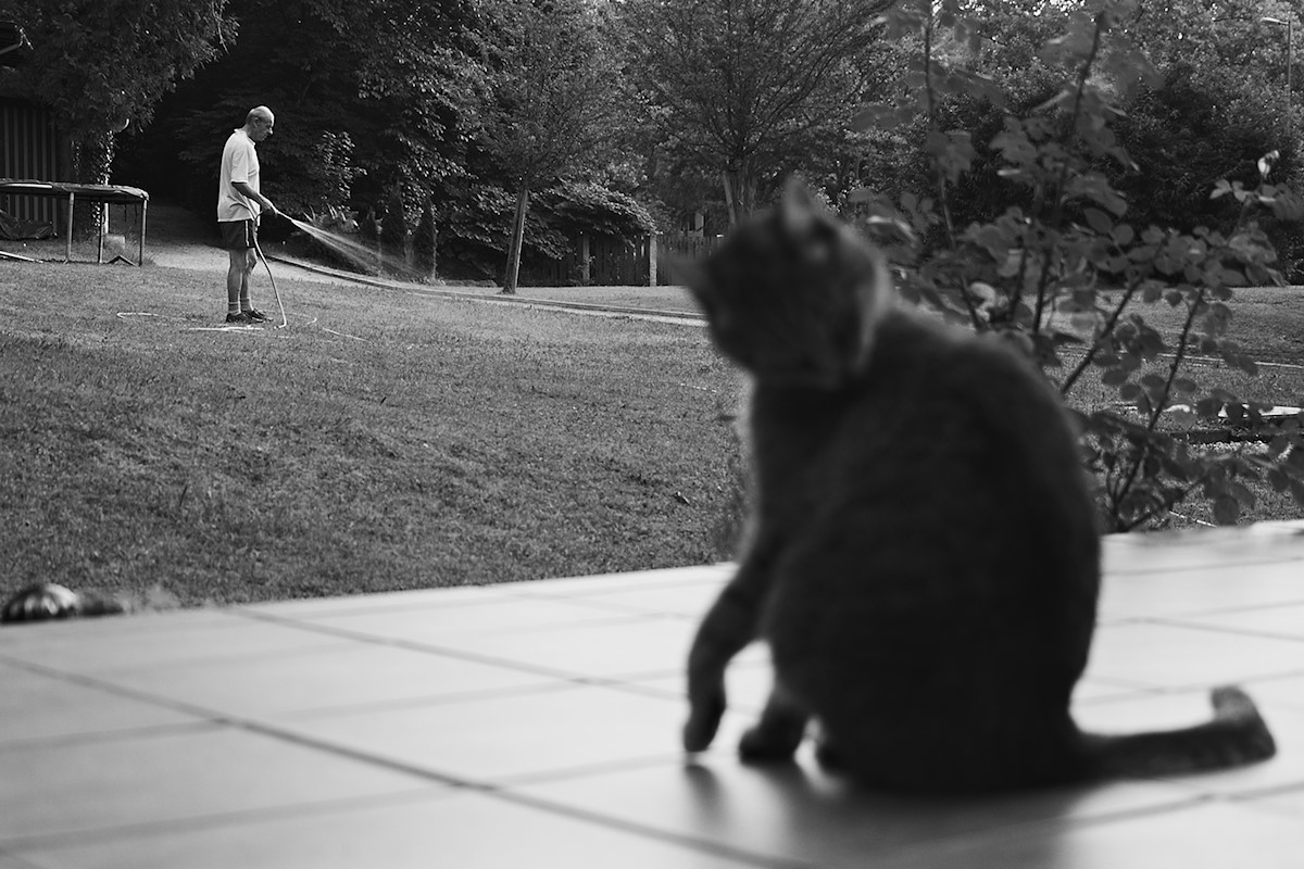 Hommage to Frank Gohlke