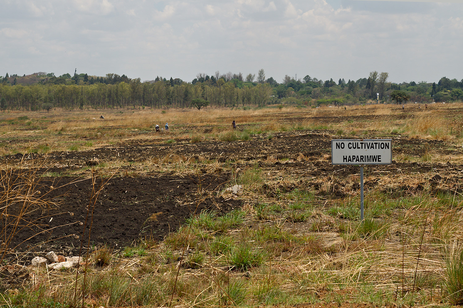 NO CULTIVATION – HAPARIMWE