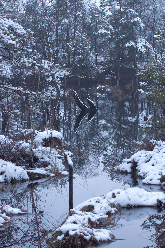 The Blues, visual and audible