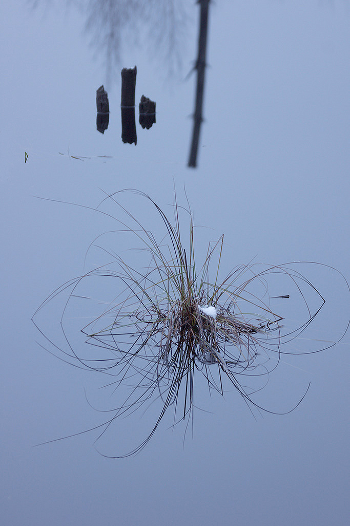 Instead of eating Burgers, again