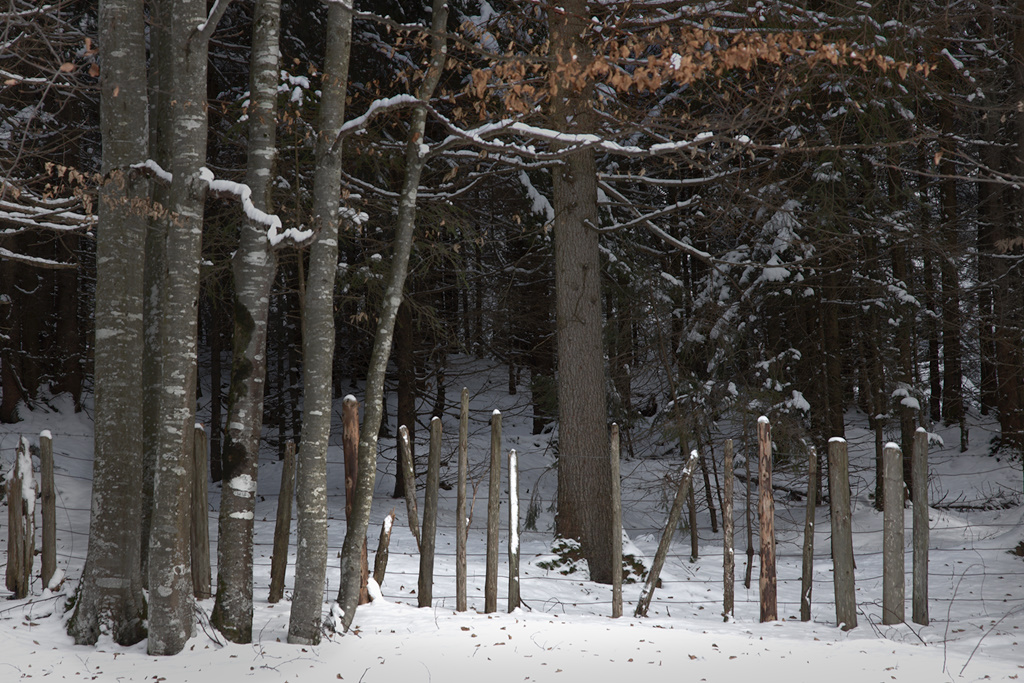 Winter Fence