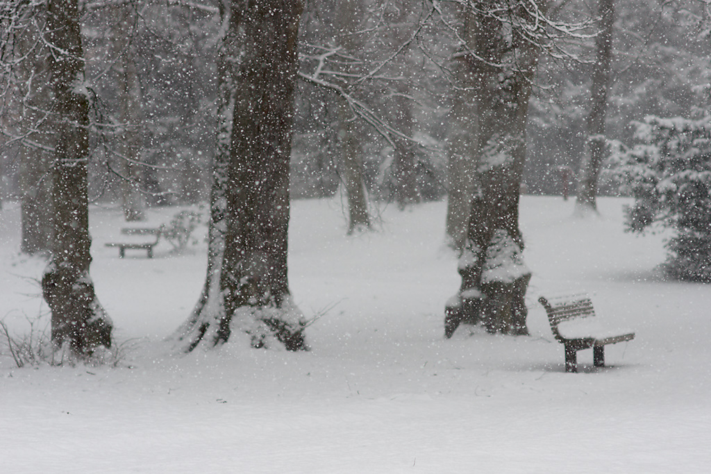 Benches, Snow