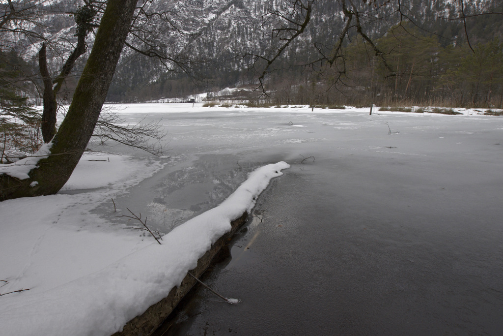 More Frozen Thumsee