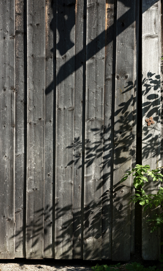 Barn Door Shadows