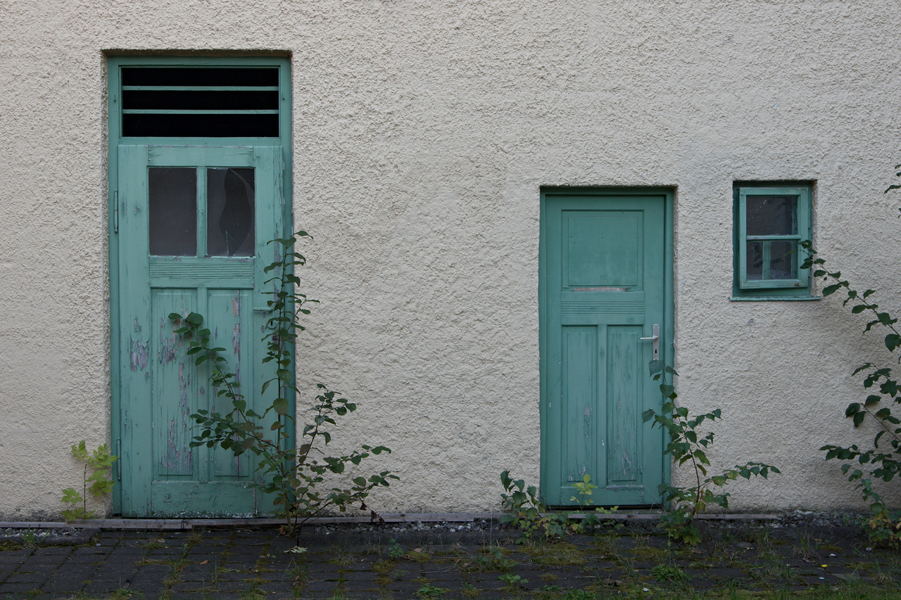Door, Wicket, Window
