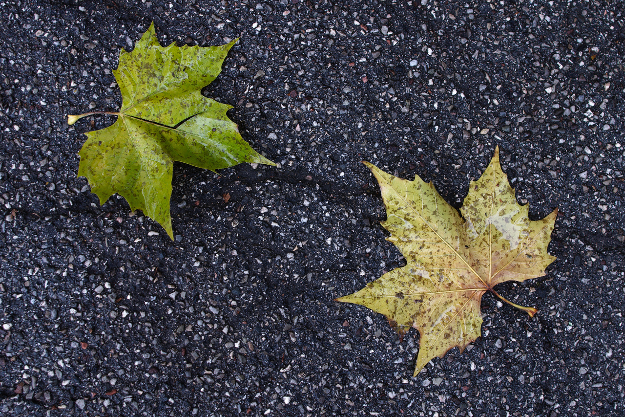 Street Level Encounter