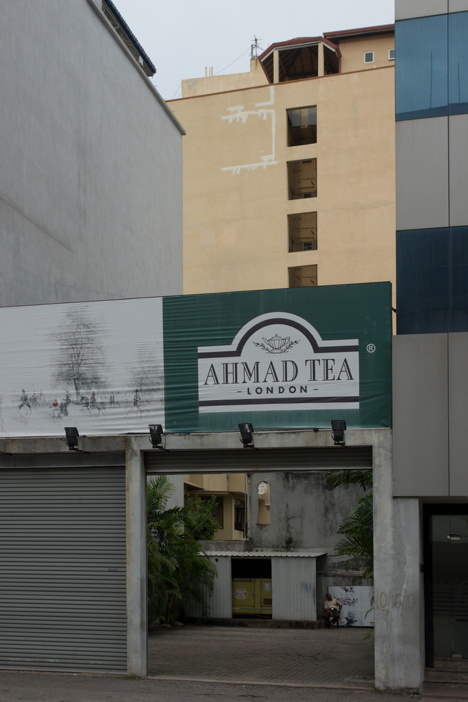 Tea Wholesale Trader