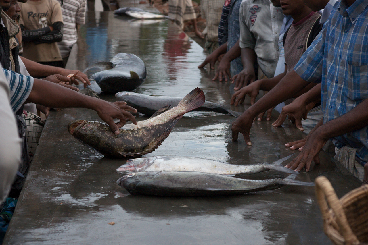 Fish Market, Batticaloa