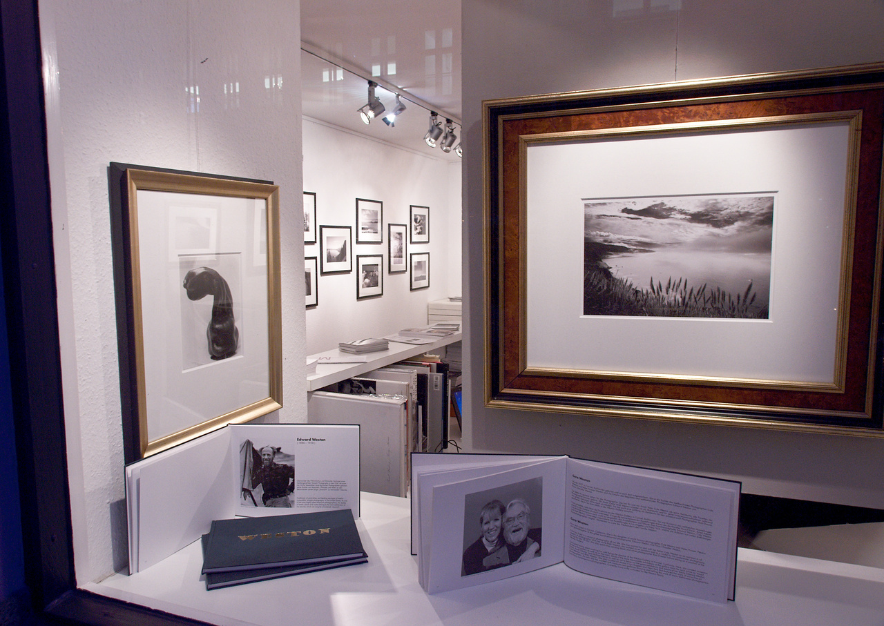 Searching Cara, Also Meeting Pepper