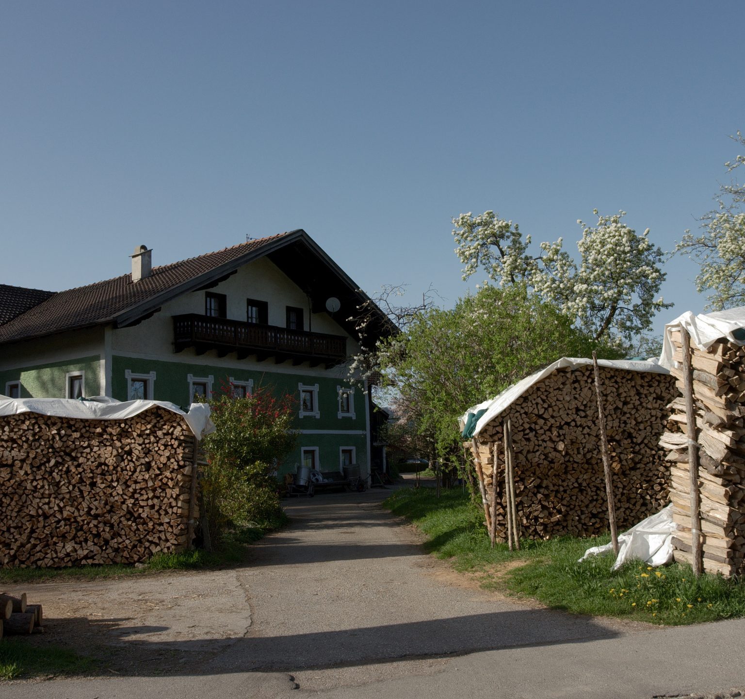 Wood In Front Of The Cabin