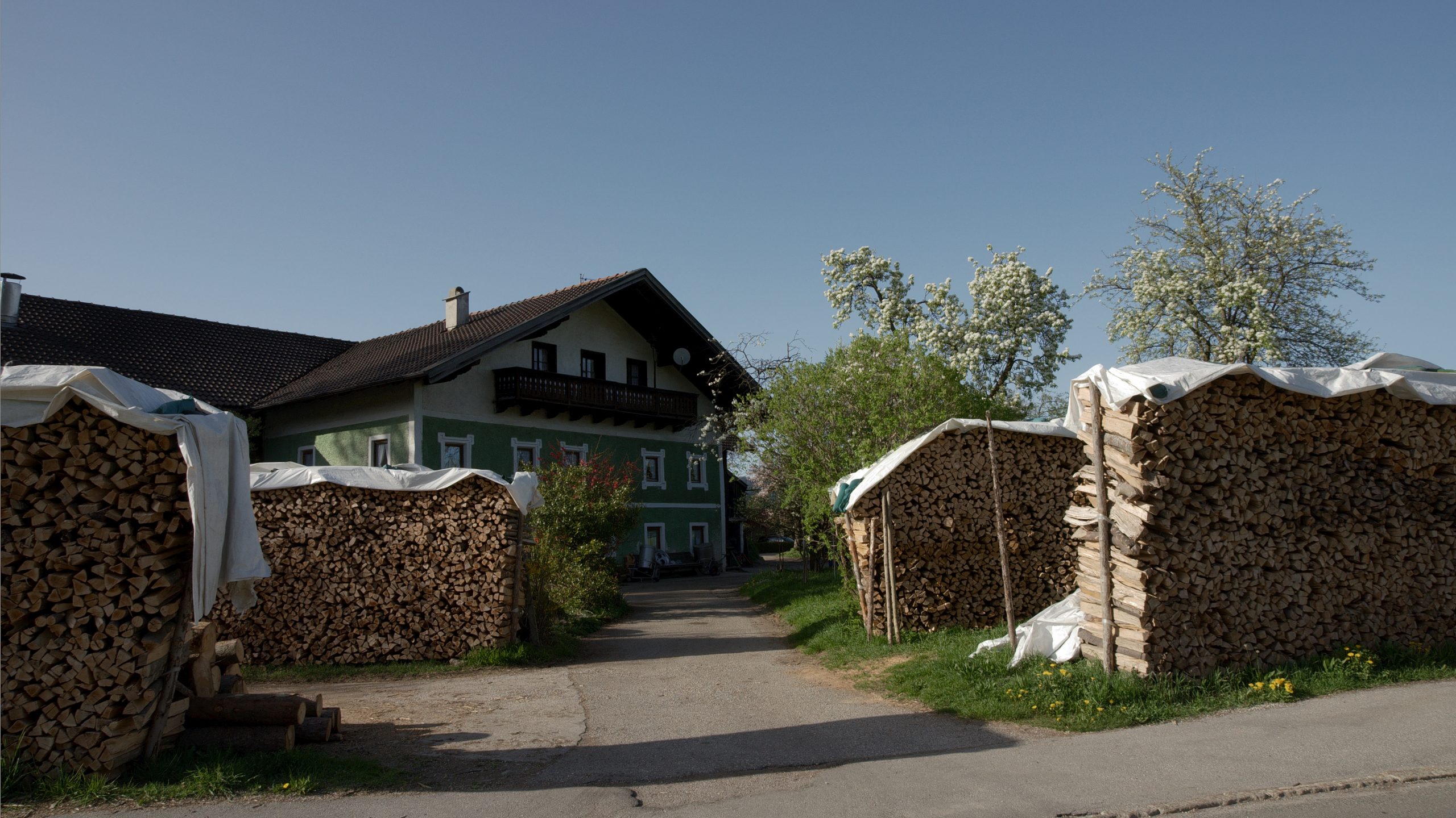 Wood In Front Of The Cabin