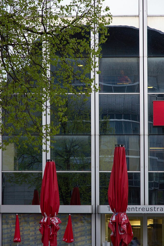 Coca Cola And The City Tree