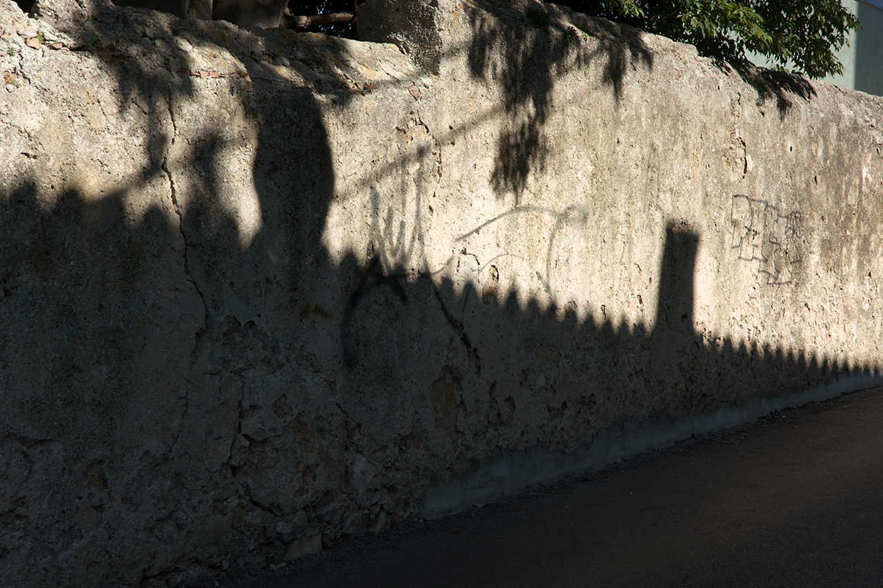 Shadow On The Wall