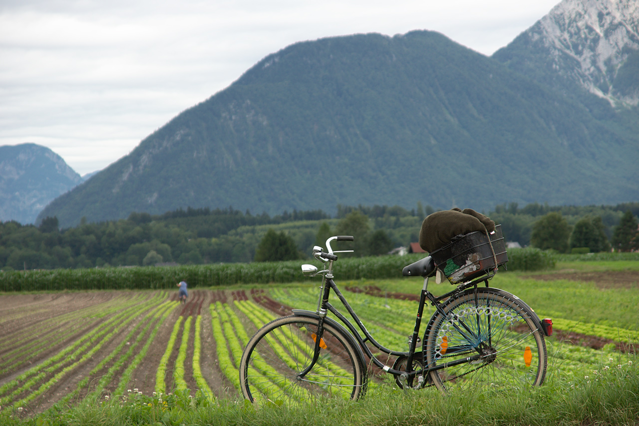 The Peasant’s Bike
