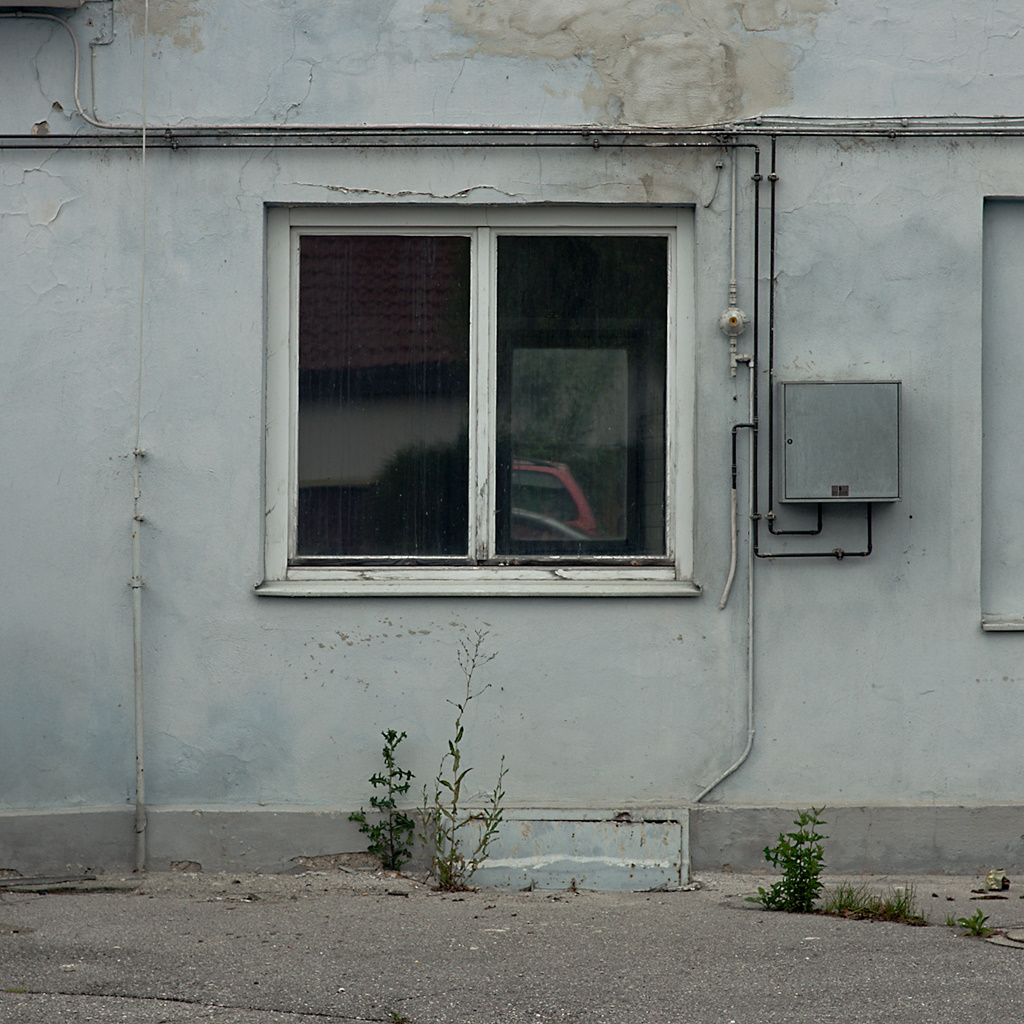 Windows, Weeds, And A Blog Note