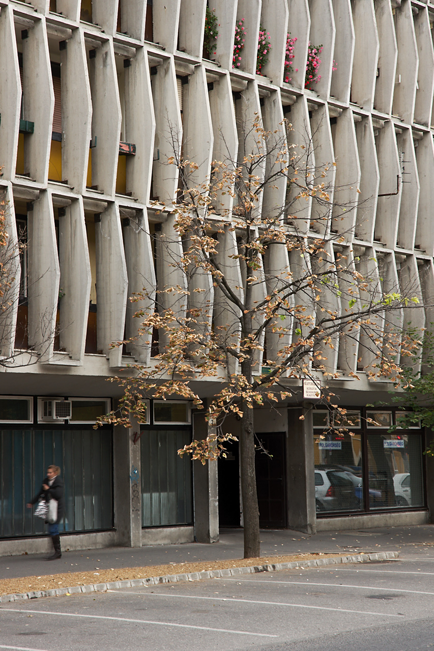 Tree, Facade, Pedestrian