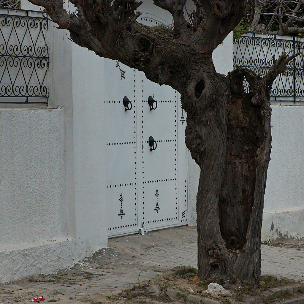 Couleurs Du Maghreb II