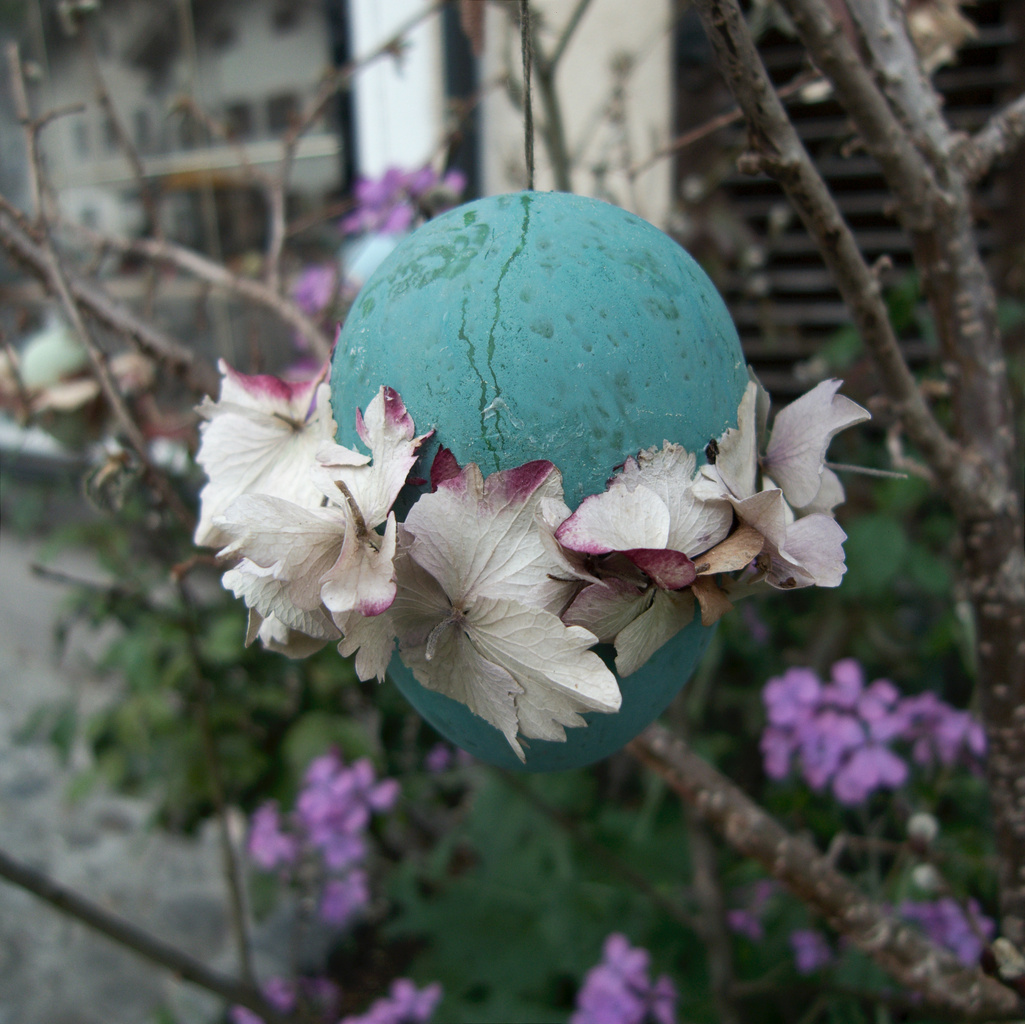 Last Easter Greeting