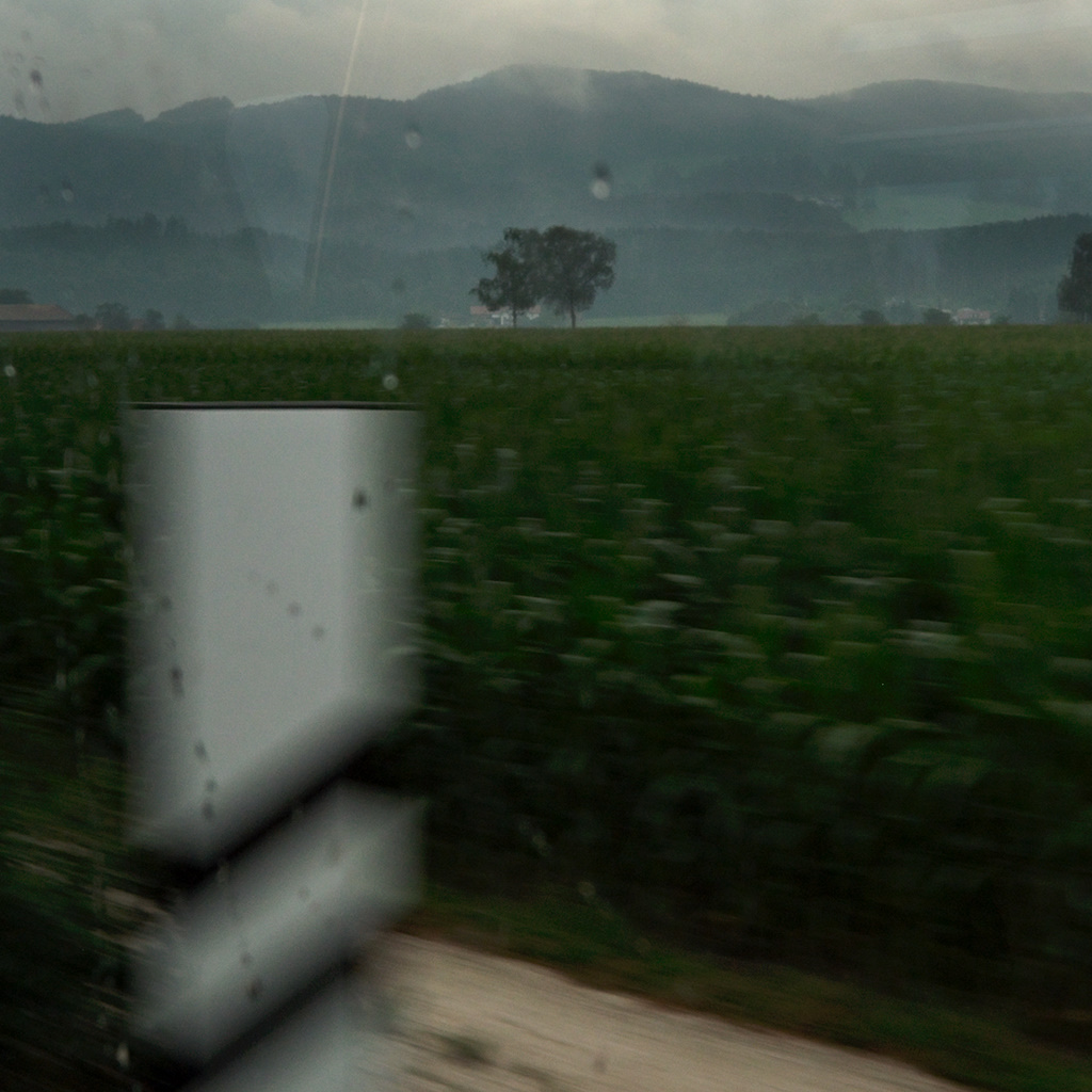 Rain In The Hill Country