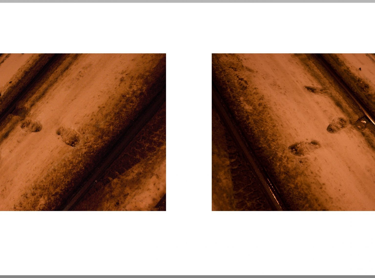 Snow in Sodium Light