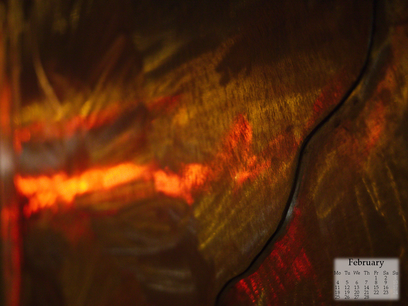 Late: February Wallpapers