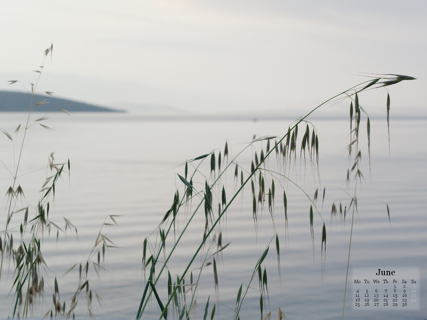 Late: June Wallpapers