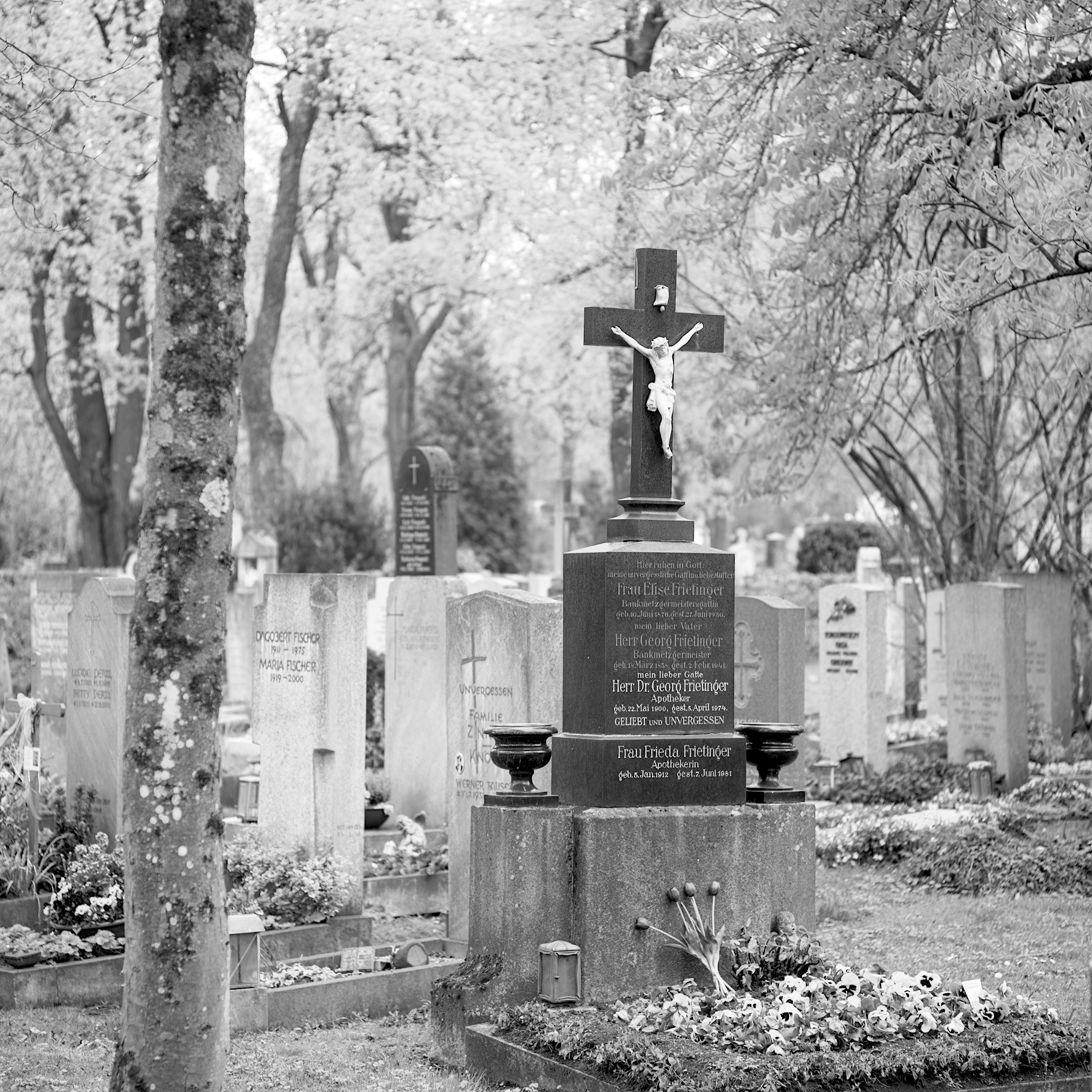 Spring in Ostfriedhof