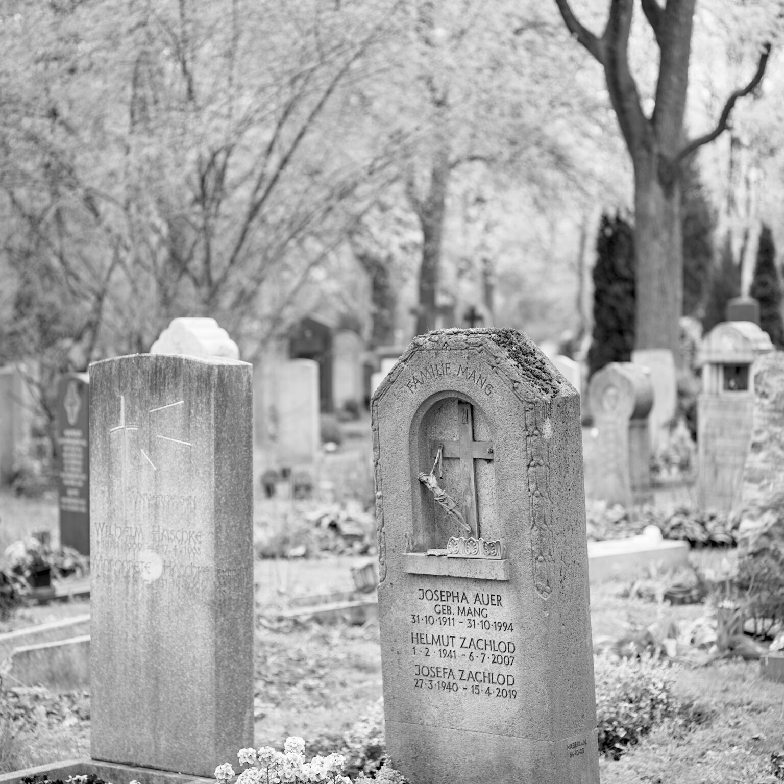 Spring in Ostfriedhof II