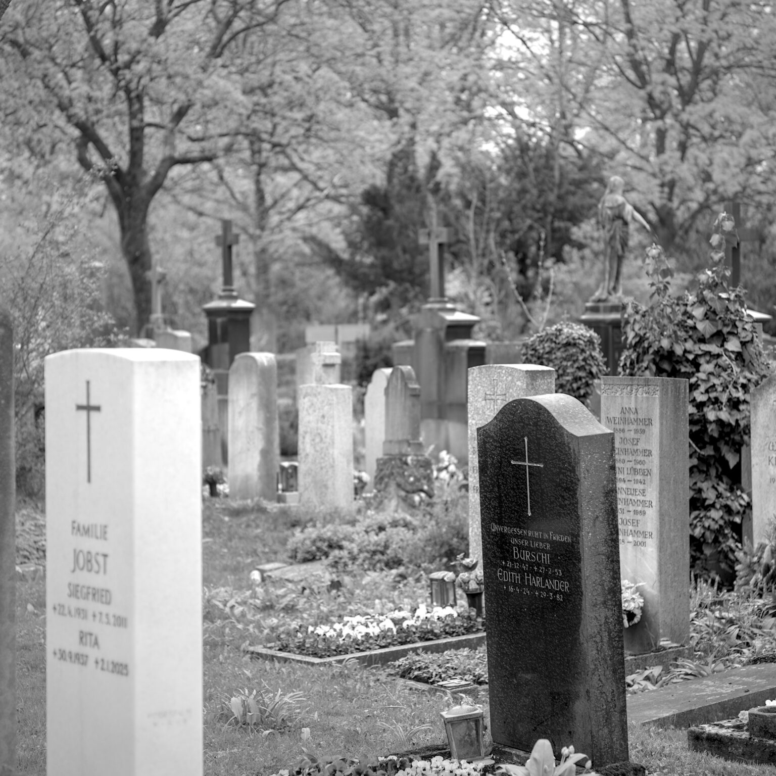 Spring in Ostfriedhof IV