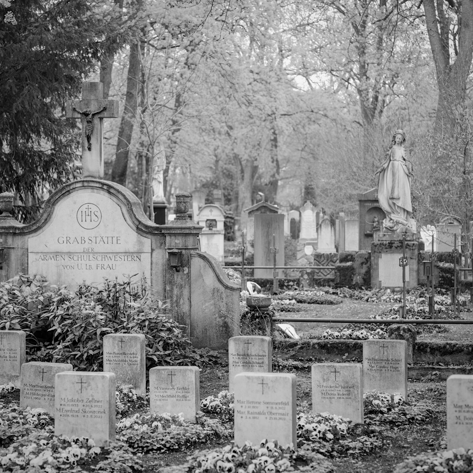 Spring in Ostfriedhof III