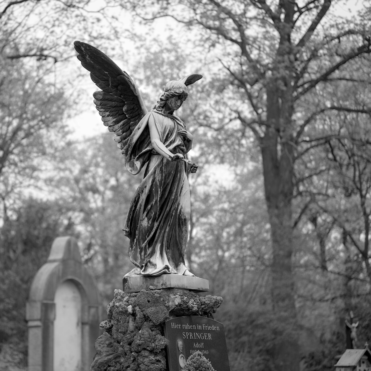 Spring in Ostfriedhof V