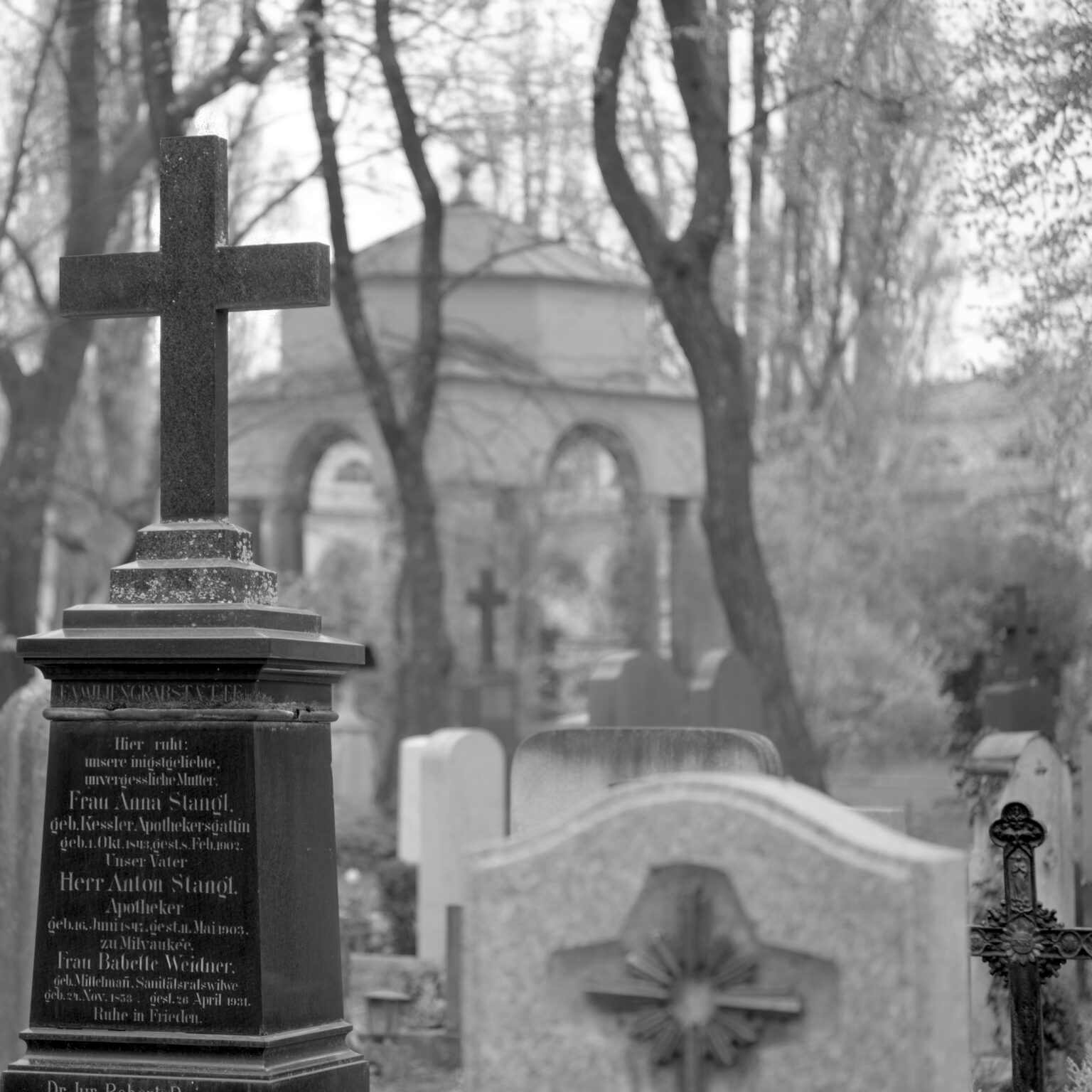 Spring in Ostfriedhof VI