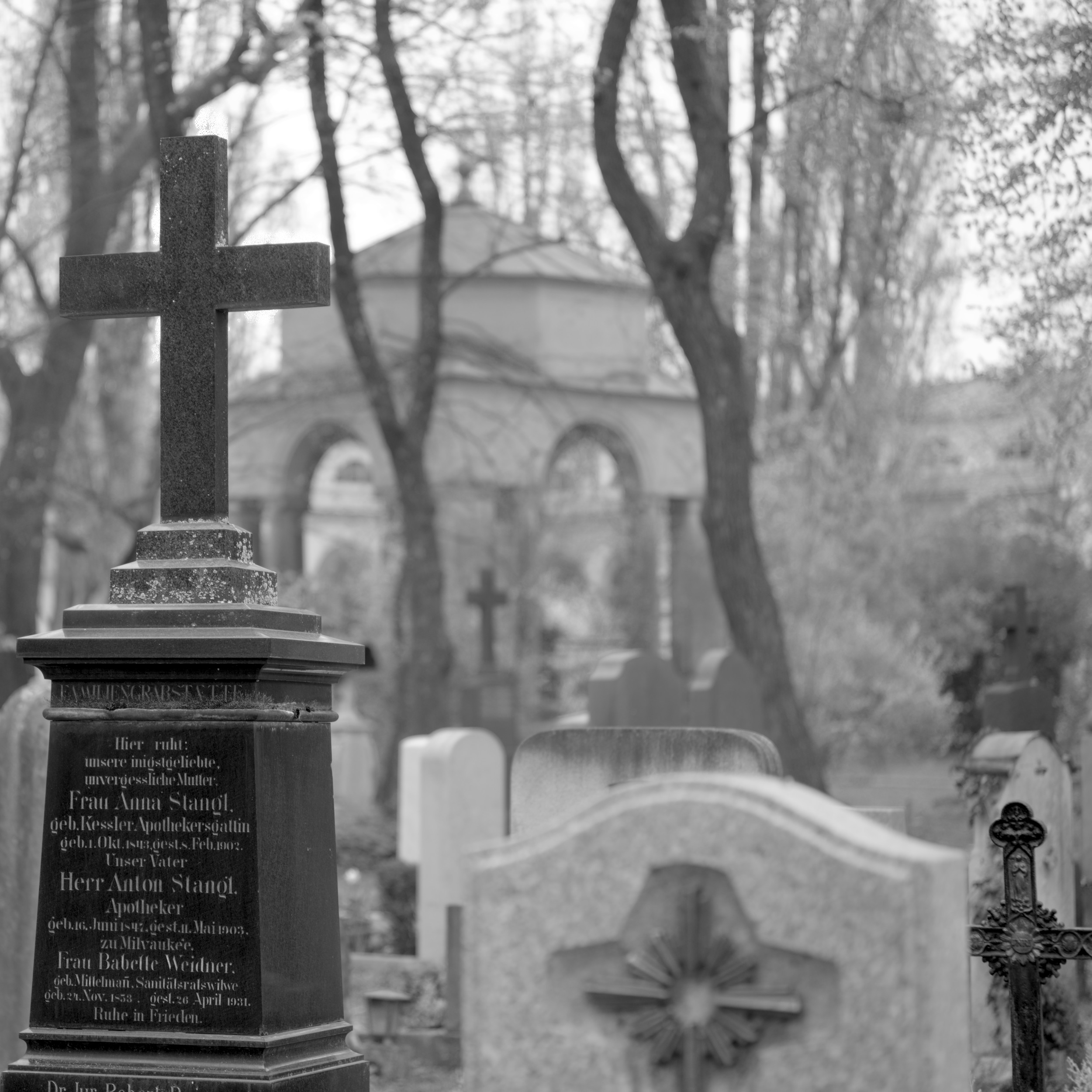 Spring in Ostfriedhof VI