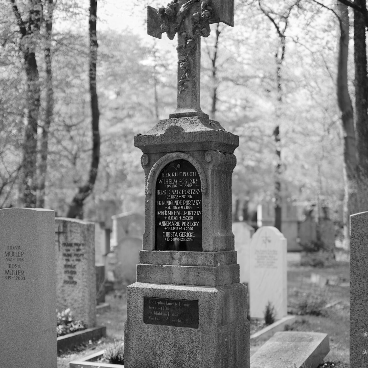 Spring in Ostfriedhof VIII