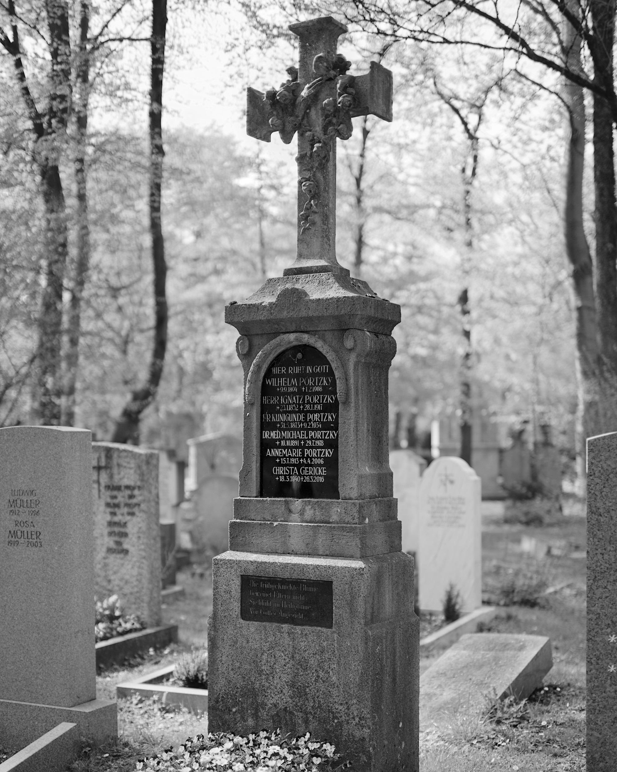 Spring in Ostfriedhof VIII