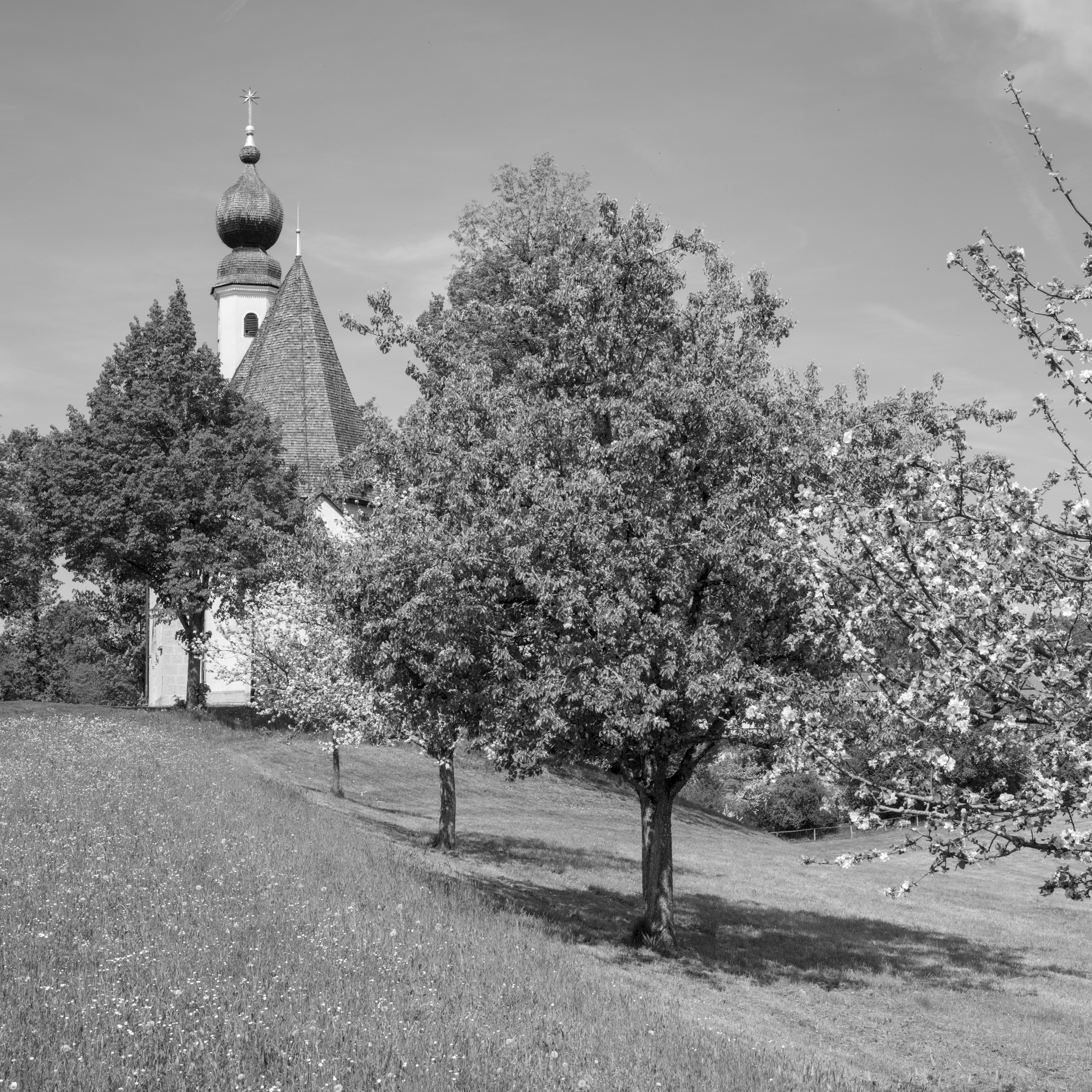 St. Vitus and Anna III
