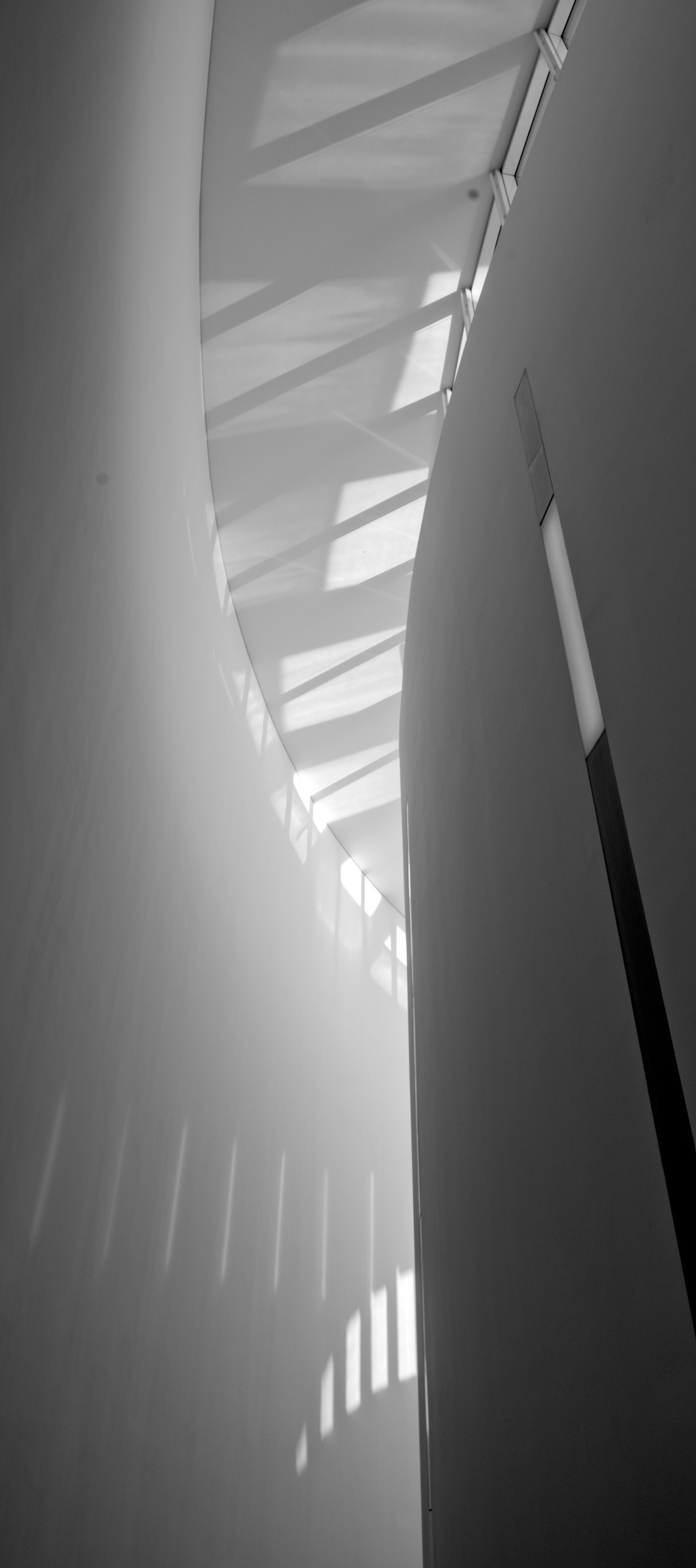 Pinakothek der Moderne VII