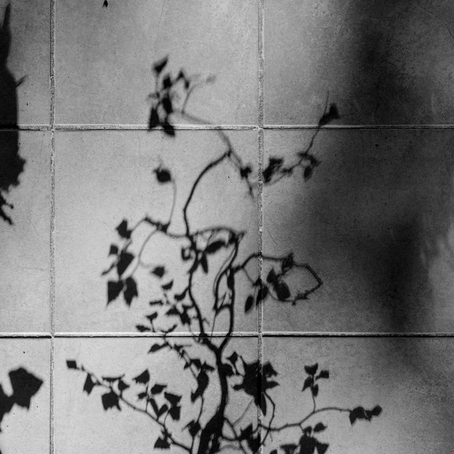 shadows on the porch